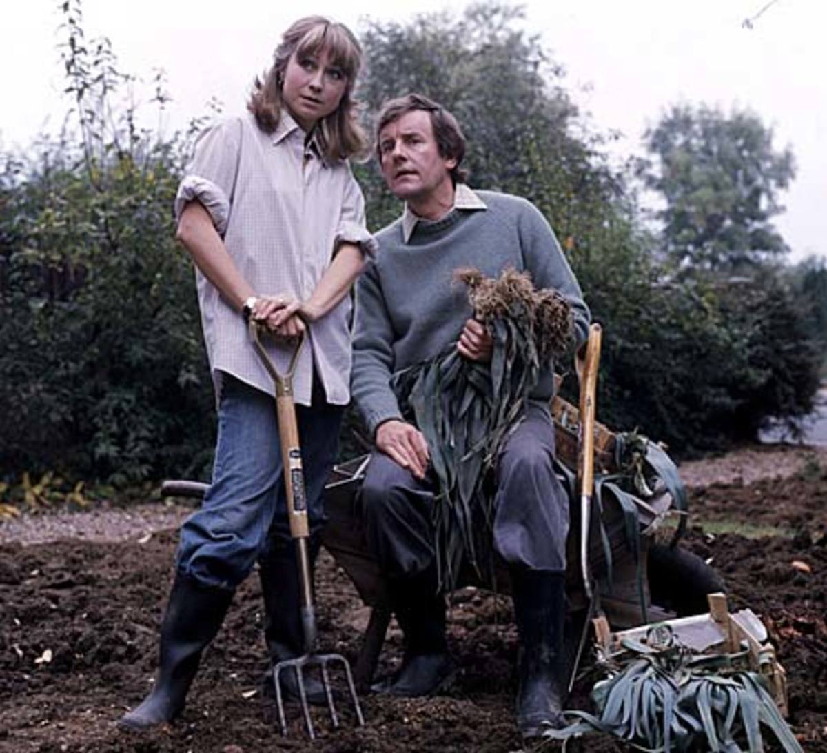 Collage of popular 1980s UK television programmes