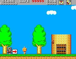 screenshot wonder boy